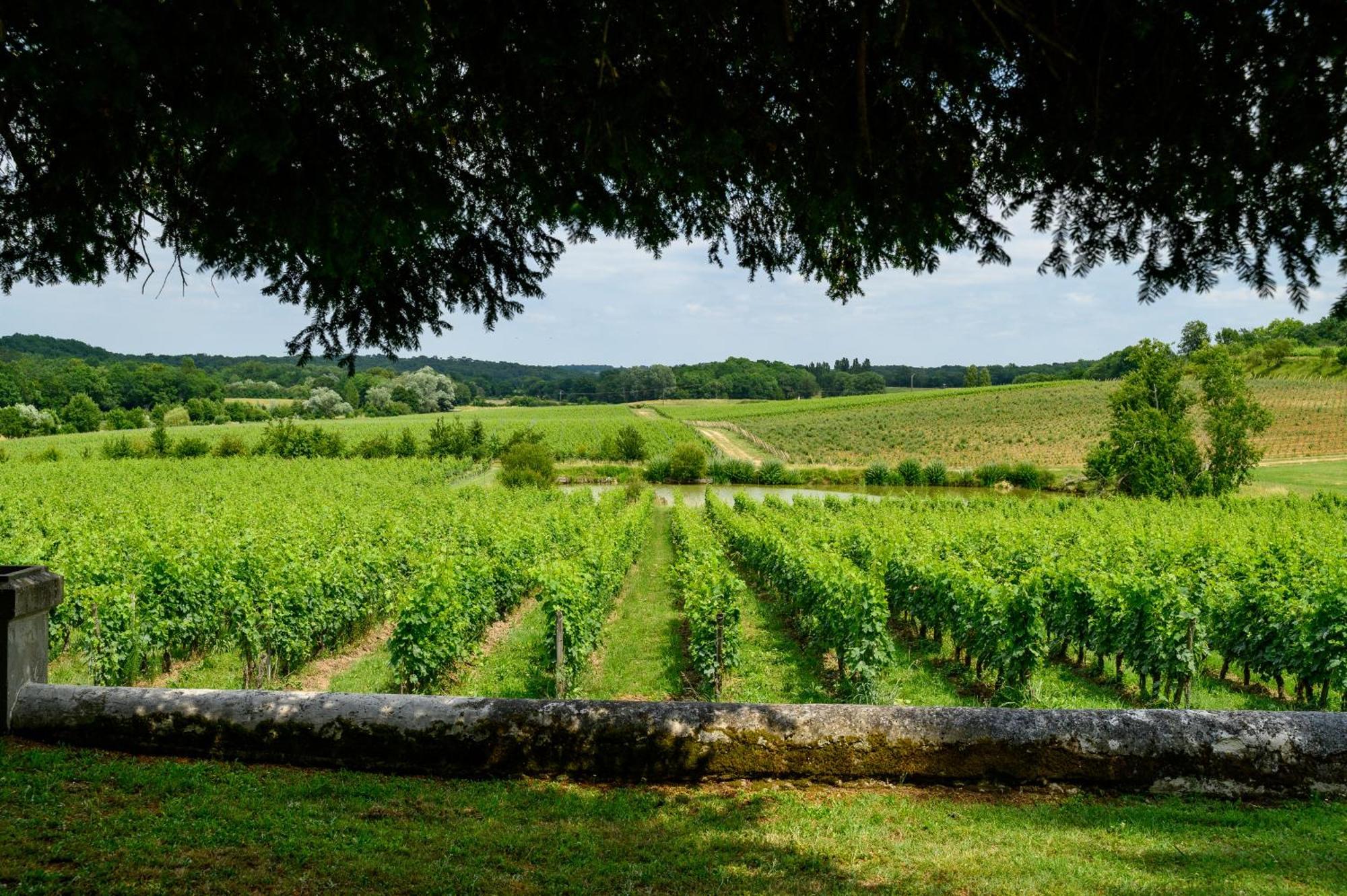 Pey La Tour - Logis Hotels & Restaurant Salleboeuf Esterno foto