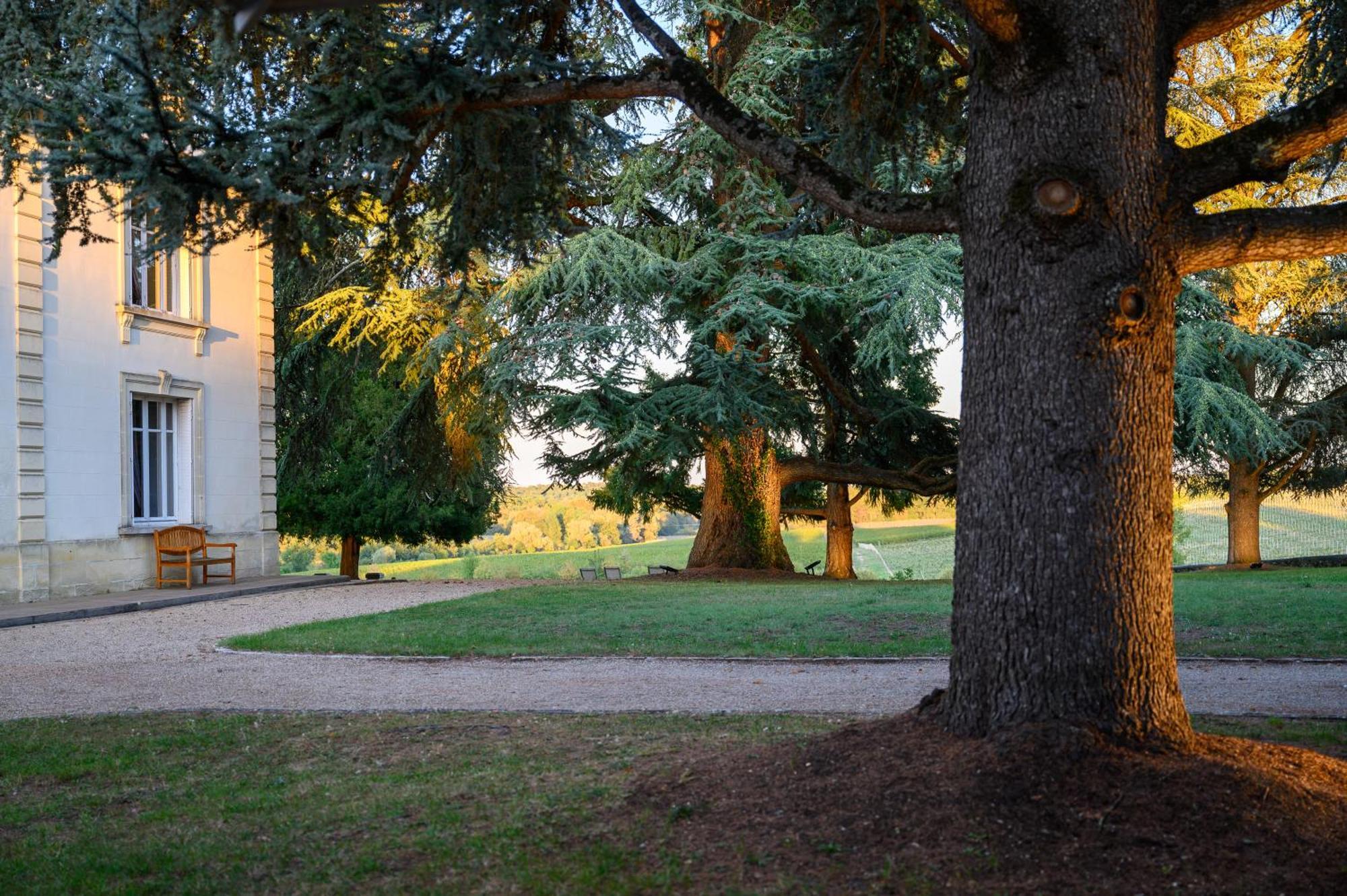 Pey La Tour - Logis Hotels & Restaurant Salleboeuf Esterno foto