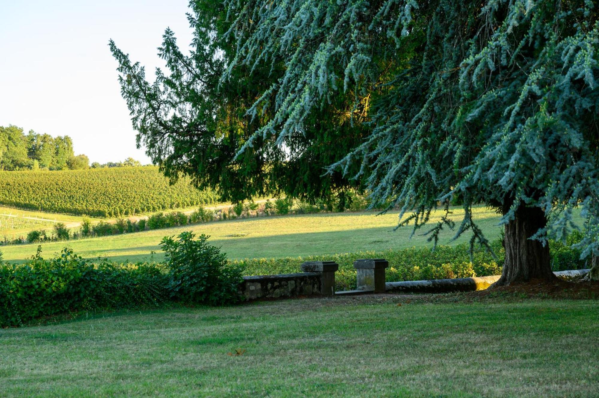 Pey La Tour - Logis Hotels & Restaurant Salleboeuf Esterno foto
