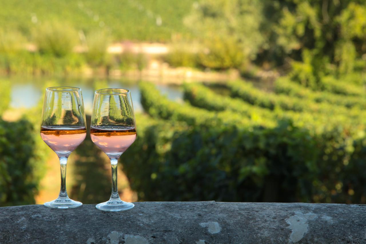 Pey La Tour - Logis Hotels & Restaurant Salleboeuf Esterno foto